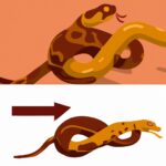 Qué es muda en biología