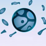 Qué es la nutrición celular