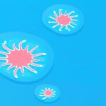 Qué es el plancton marino