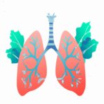 Qué es el Sistema Respiratorio