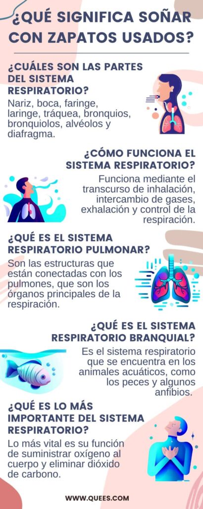 infografia sistema respiratorio