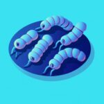 Soñar con ciempiés