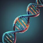 Qué es la heterocromatina