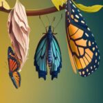 Qué es la metamorfosis