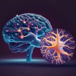 Qué es la neurogénesis