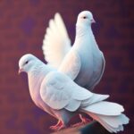 Soñar con palomas blancas