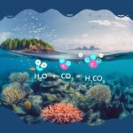 Qué es la acidificación de los óceanos