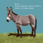 Qué es una descripción objetiva