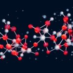 Qué es la hemicelulosa