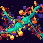 Qué es la lipogénesis