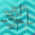 Qué son los mexicanismos