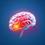 Qué es la neurofisiología