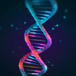 Qué es una poza genética