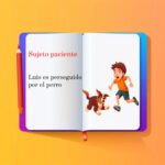 Qué es el sujeto paciente