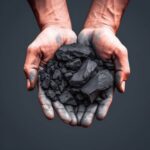 Qué es el carbón vegetal