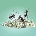 Qué es el robo hormiga